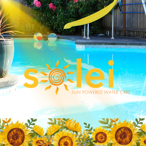 Solei The GameChanger for Pool Water Care Holland Home Leisure
