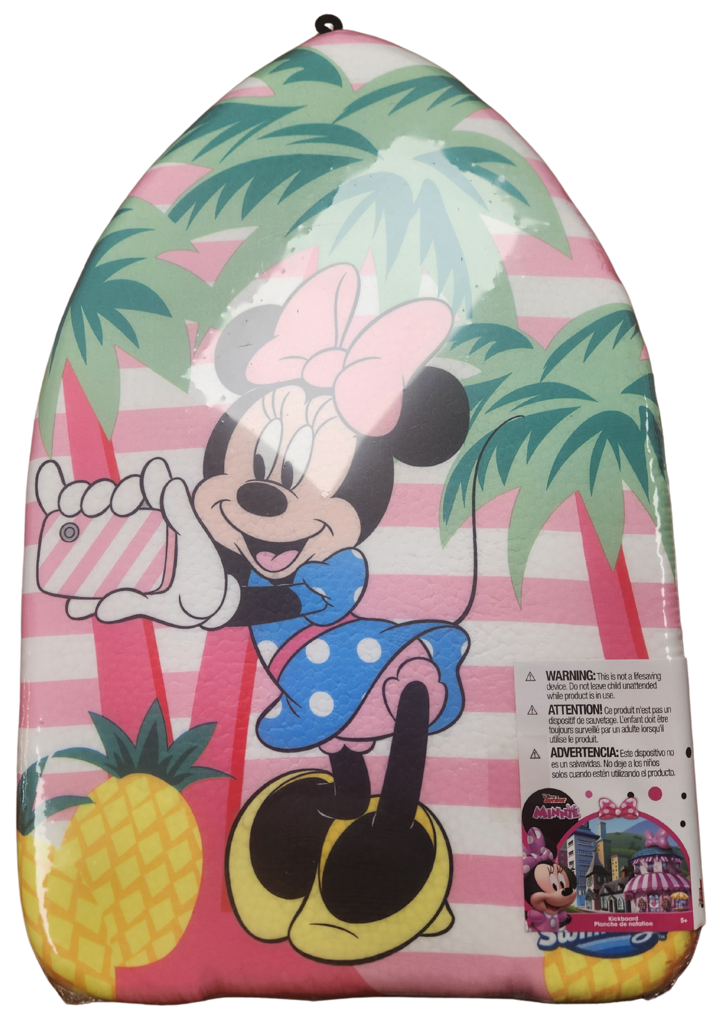 Licensed Assorted Kickboards