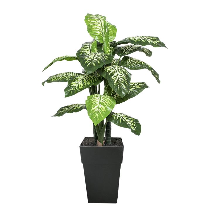 dieffenbachia outdoor 53" Artificial Outdoor Dieffenbachia in Black Planter – Holland Home Leisure