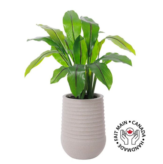 33" Curcuma in Grey Terrazzo Beige Pot