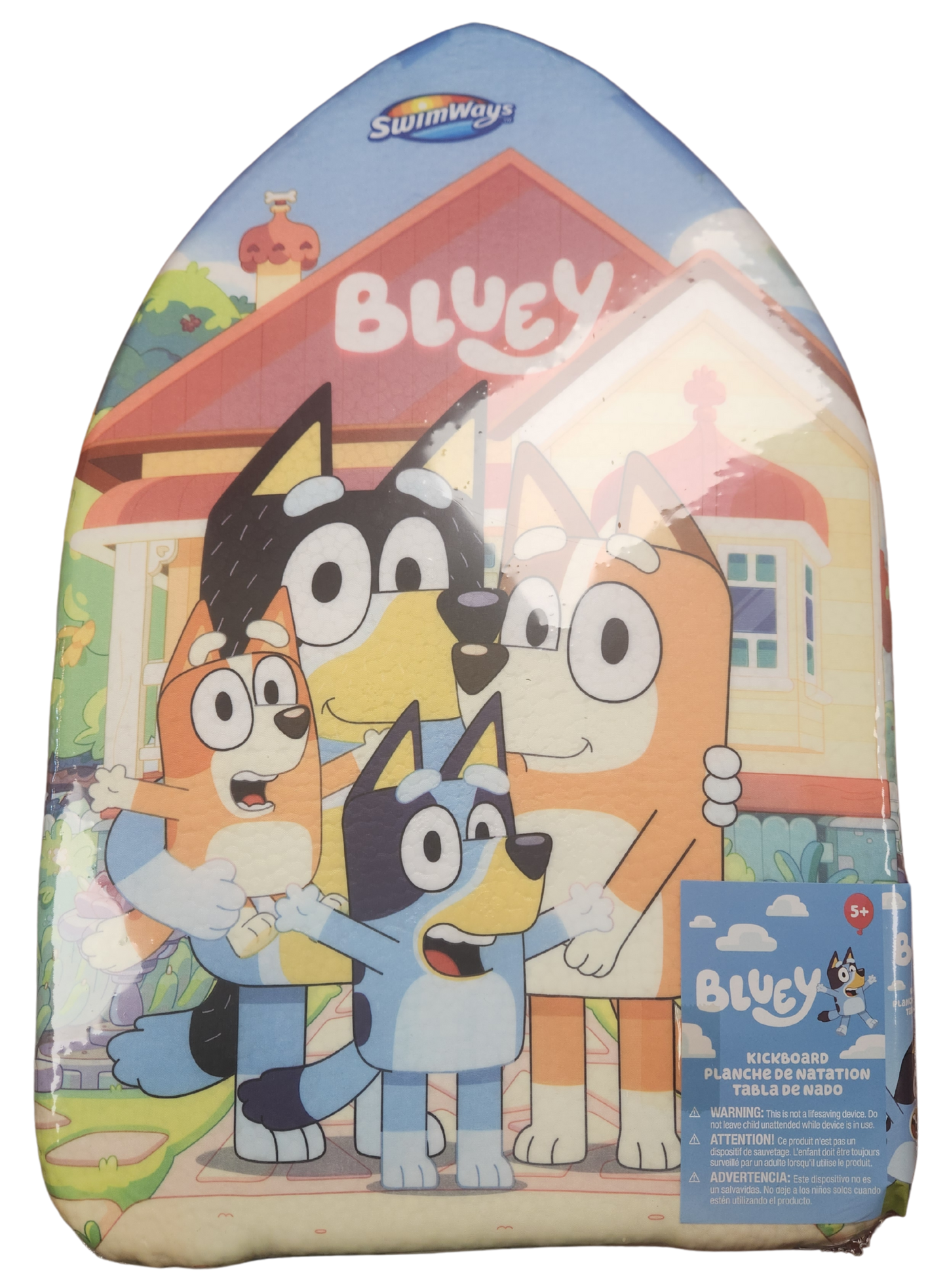 Licensed Assorted Kickboards