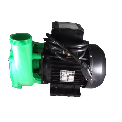 Gecko Pump - 4HP 2spd 12A (no cord)