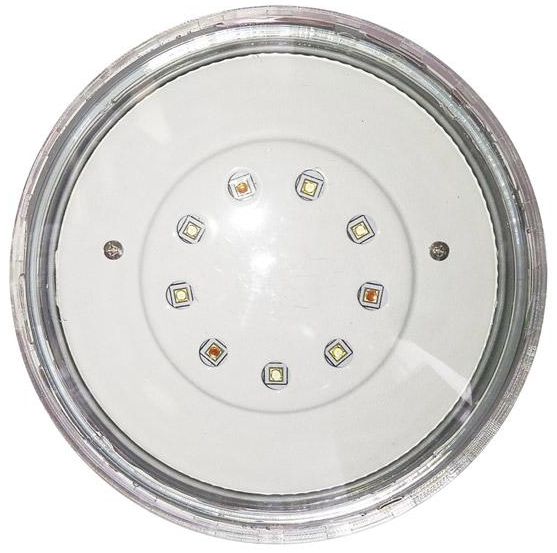 Aqualamp Replacement Bulb Rainbow Rays