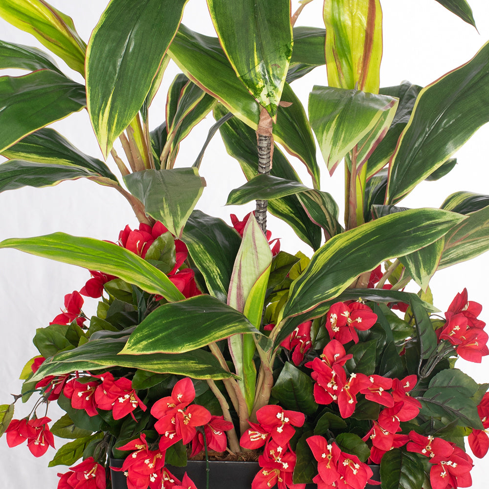 52" Bougainvillea and Cordyline Outdoor Arrangement
