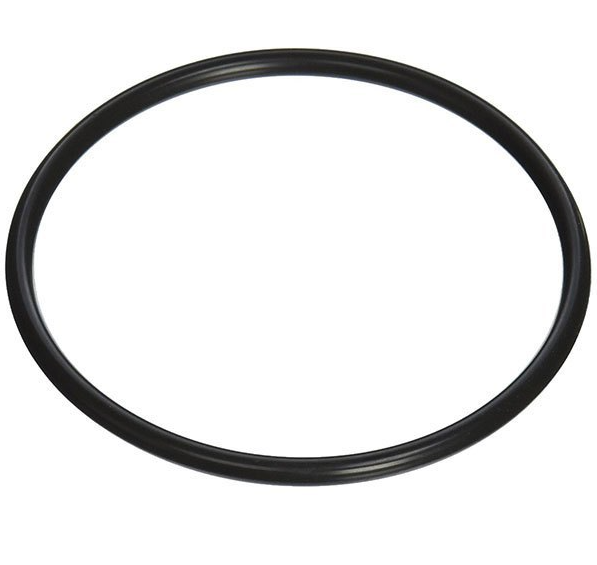 Hayward Chlorinator Lid O Ring