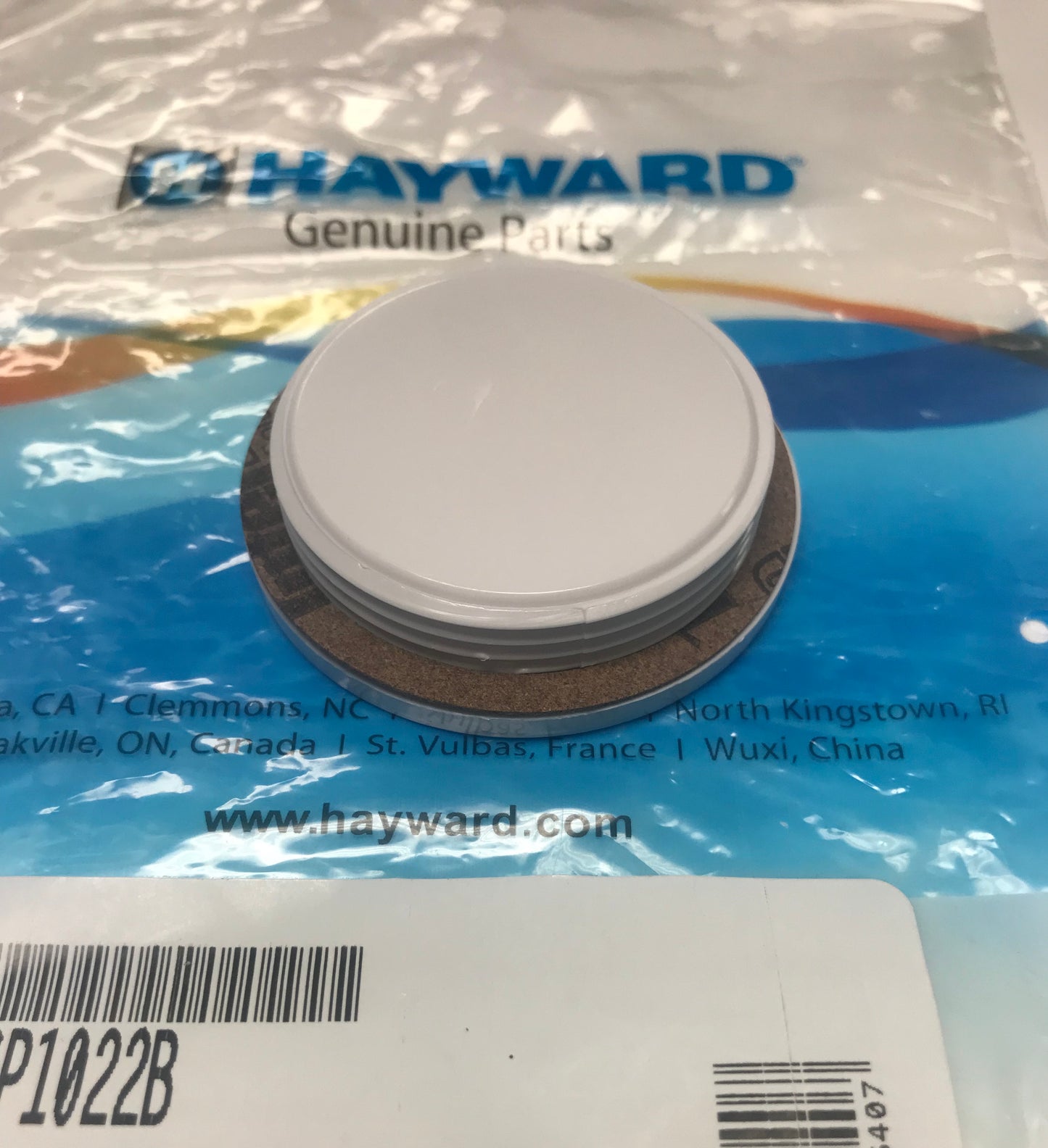 Hayward Flush Plug with gasket