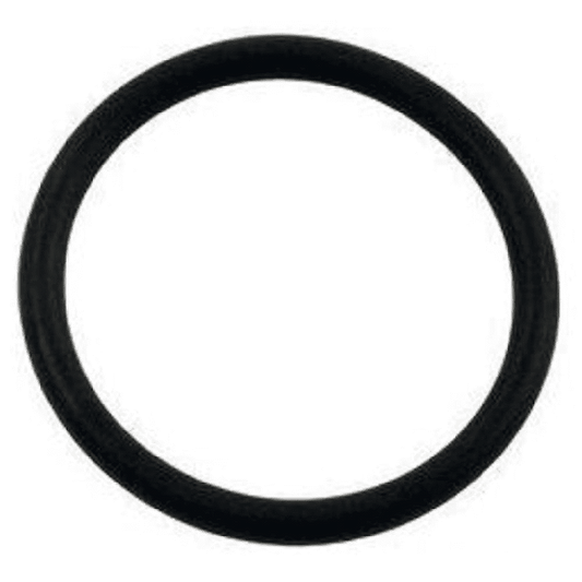 Hayward Matrix Strainer O-Ring