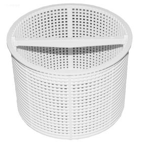 Hayward Inground Skimmer Basket