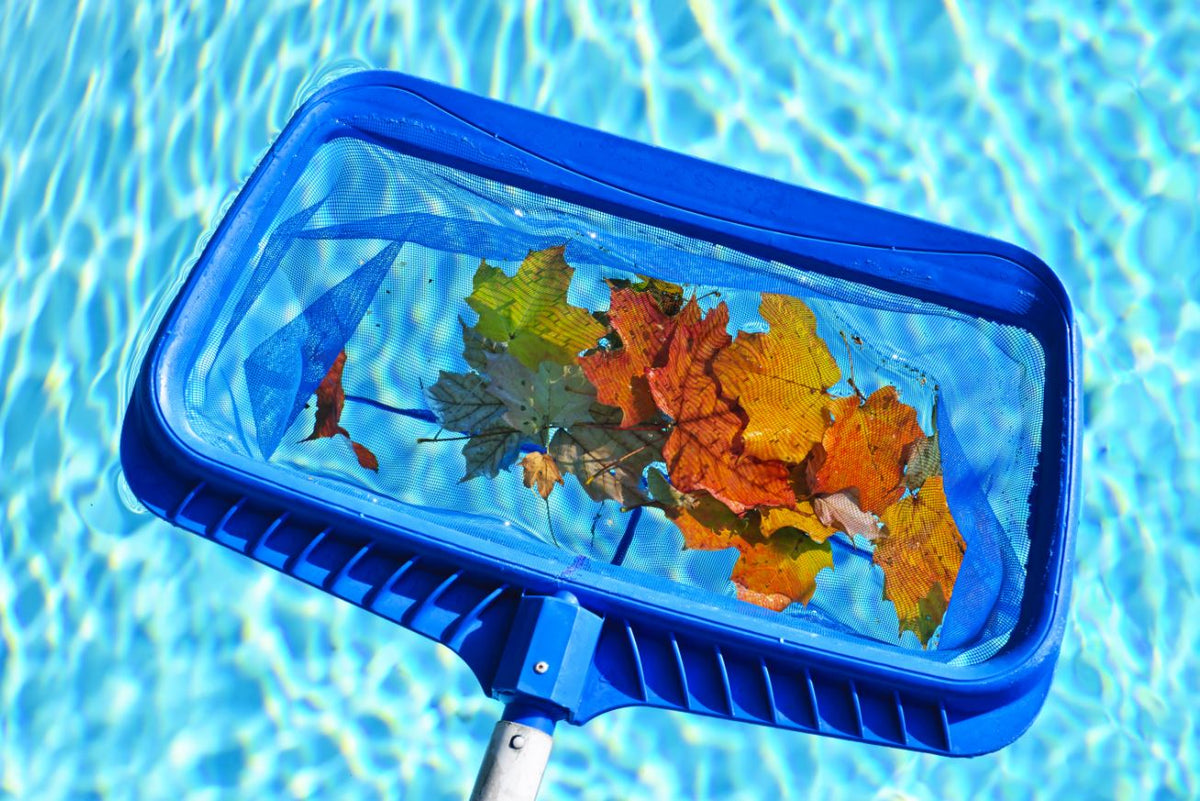 Pool Maintenance Accessories Holland Home Leisure