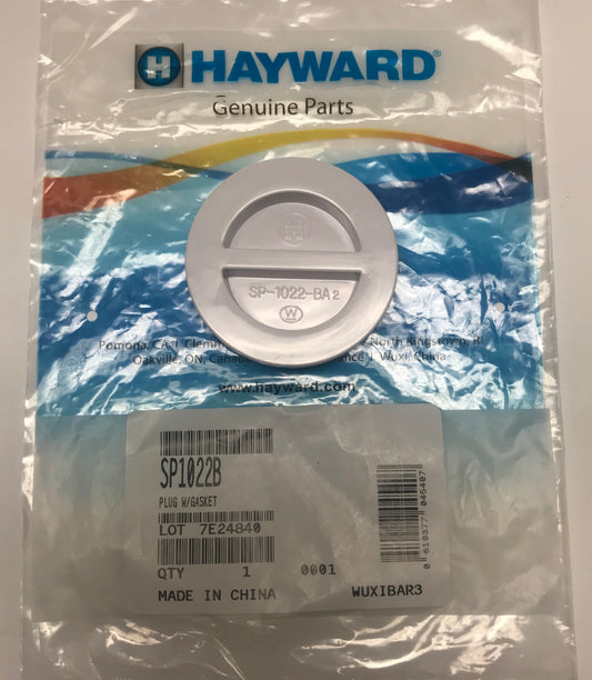 Hayward Flush Plug with gasket