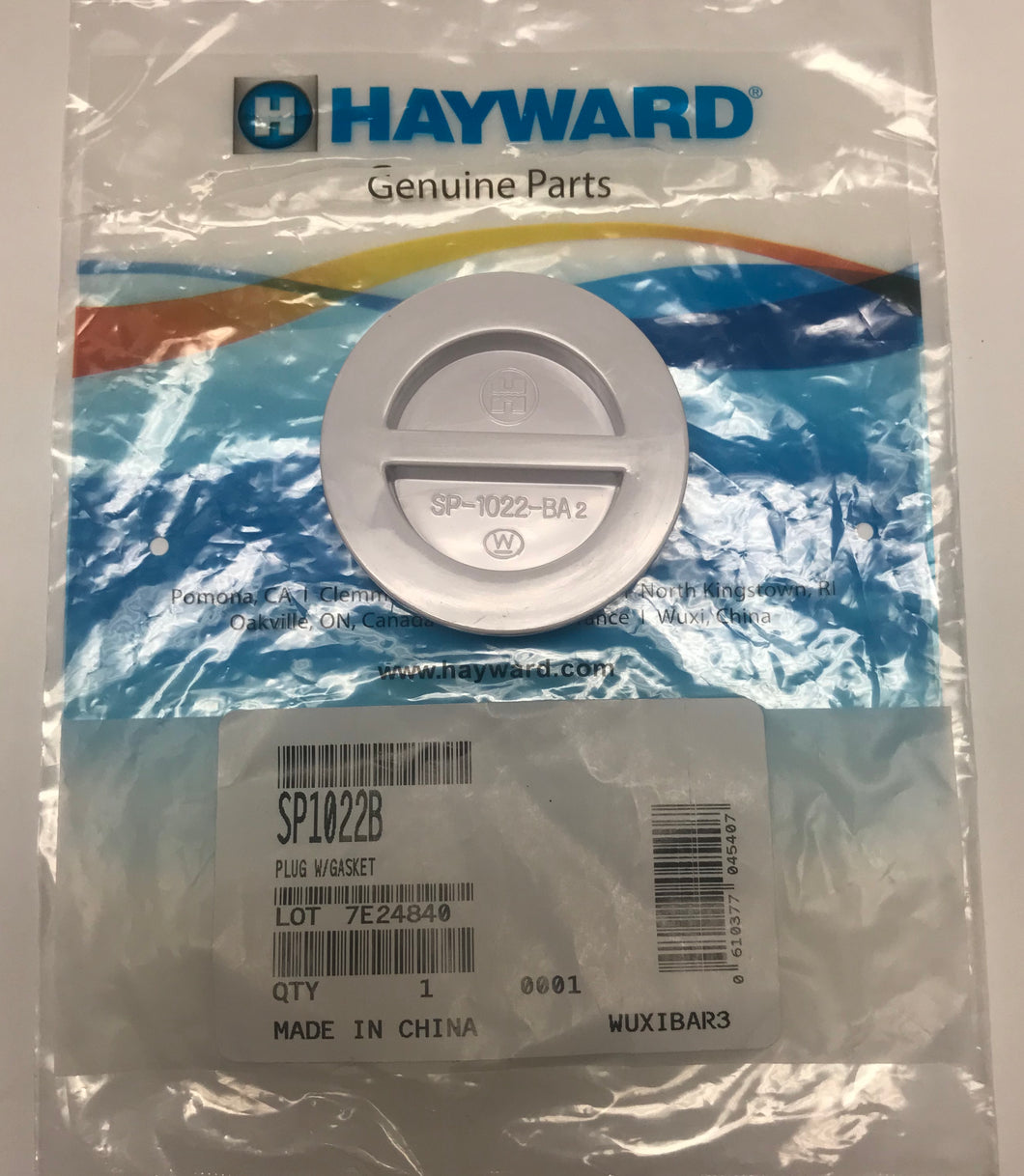 Hayward Flush Plug with gasket